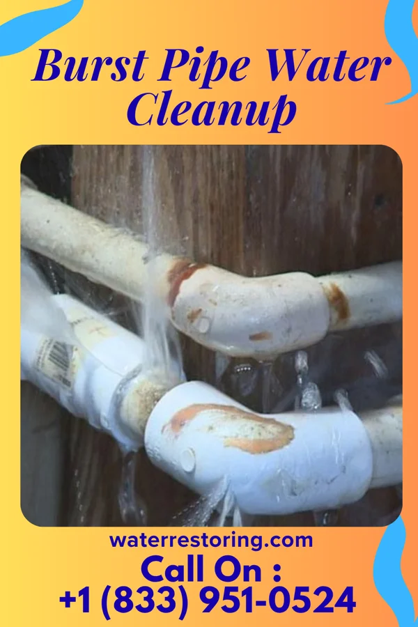 Burst Pipe Water Cleanup in Simpsonville, KY