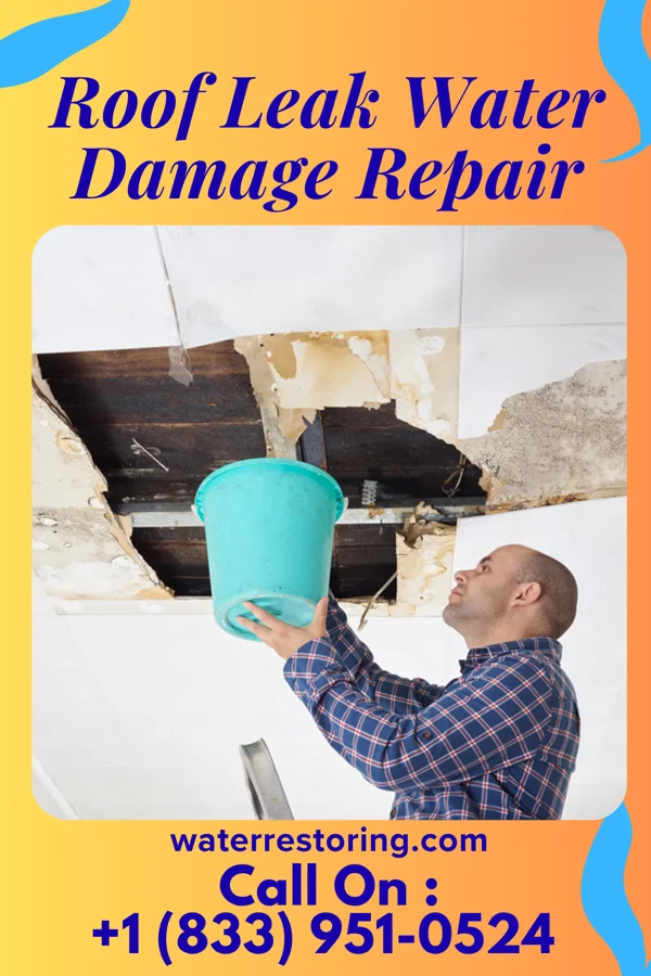 Roof Leak Water Damage Repair in Simpsonville, KY